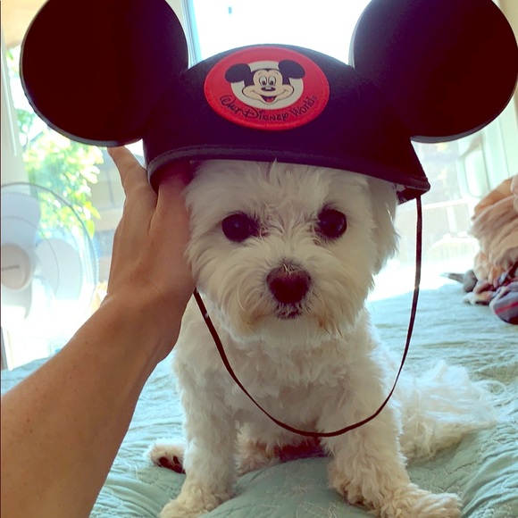 Personalized Mickey Mouse Ears - Picture 1 of 6